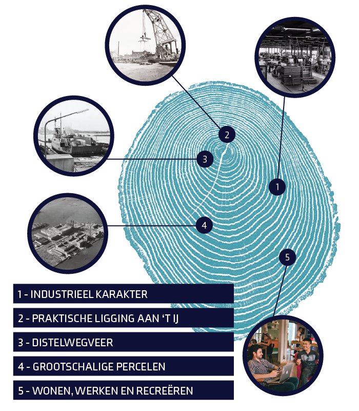 6. Urban Fabric Development_Projecten_Porters_geschiedenis boomstam